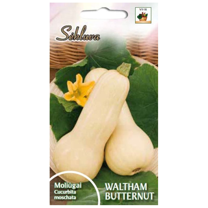 DIDIEJI MOLIŪGAI WALTHAM BUTTERNUT 1gr. DIDIEJI MOLIŪGAI WALTHAM BUTTERNUT 1gr.