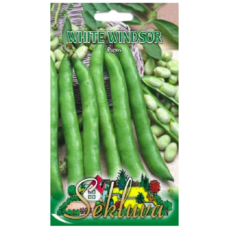 PUPOS WHITE WINDSOR 50 gr. PUPOS WHITE WINDSOR 50 gr.