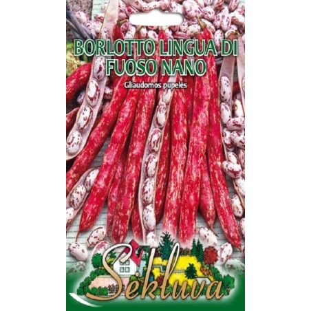 ŽEMAŪGĖS DARŽINĖS PUPELĖS BORLOTTO LINGUA DI FUOSO NANO 50 gr.