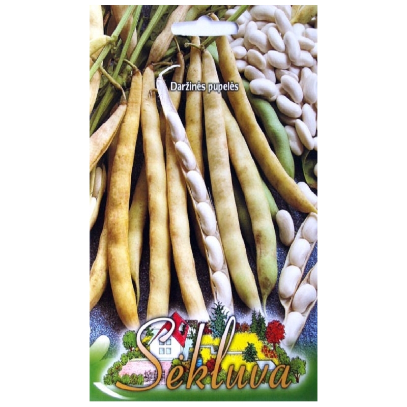 ŽEMAŪGĖS DARŽINĖS PUPELĖS IGOLOMSKA 50 gr.