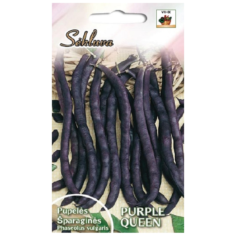 ŽEMAŪGĖS DARŽINĖS PUPELĖS PURPLE QUEEN 10 gr. ŽEMAŪGĖS DARŽINĖS PUPELĖS PURPLE QUEEN 10 gr.
