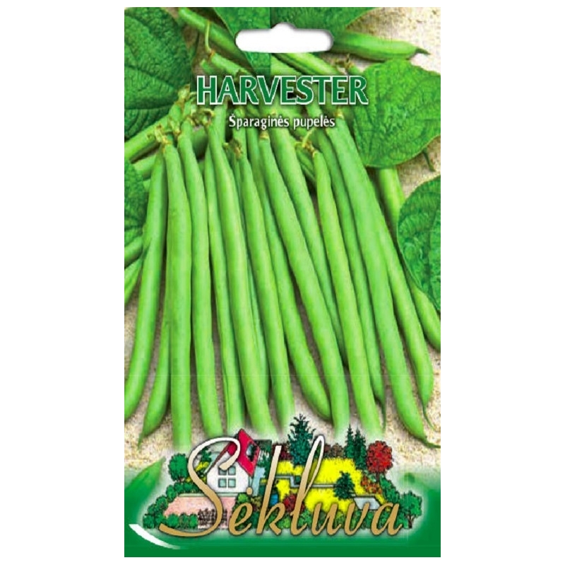 ŽEMAŪGĖS DARŽINĖS PUPELĖS HARVESTER 50 gr. ŽEMAŪGĖS DARŽINĖS PUPELĖS HARVESTER 50 gr.