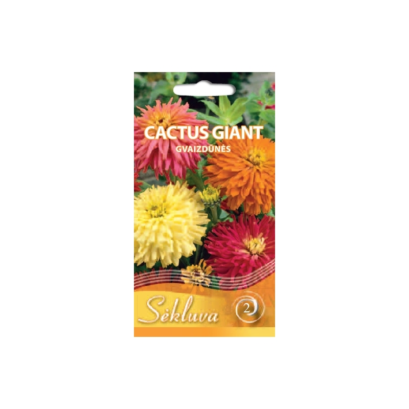 PUIKIOSIOS GVAIZDŪNĖS CACTUS GIANT 1 gr. PUIKIOSIOS GVAIZDŪNĖS CACTUS GIANT 1 gr.
