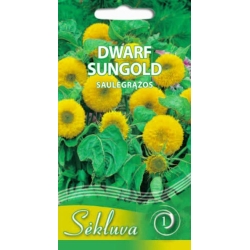TIKROSIOS SAULĖGRĄŽOS DWARF SUNGOLD 2gr.
