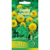TIKROSIOS SAULĖGRĄŽOS DWARF SUNGOLD 2gr.