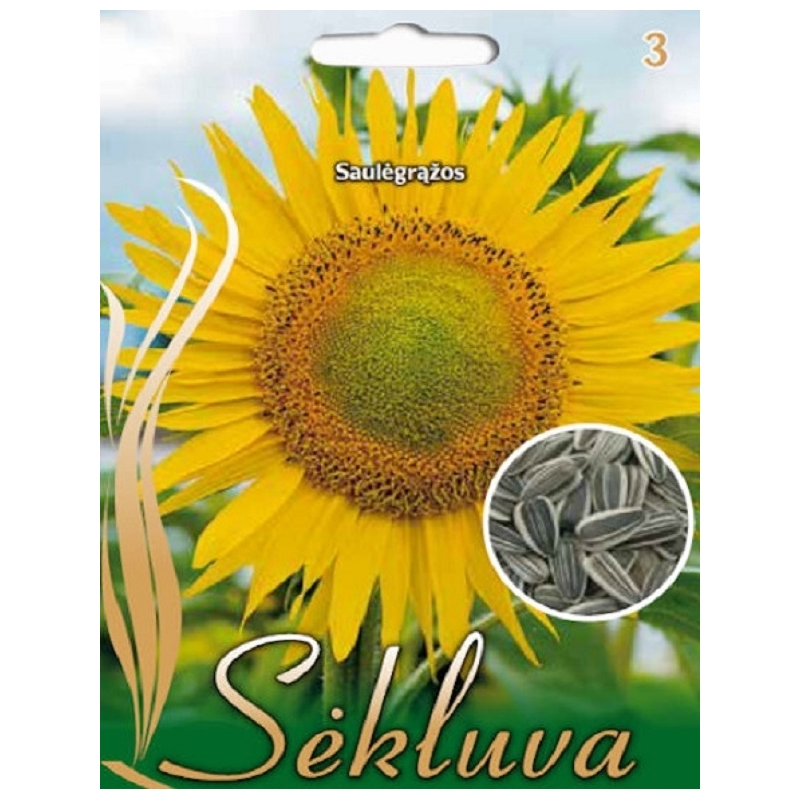 GLEŽNOSIOS SAULĖGRĄŽOS   20g.