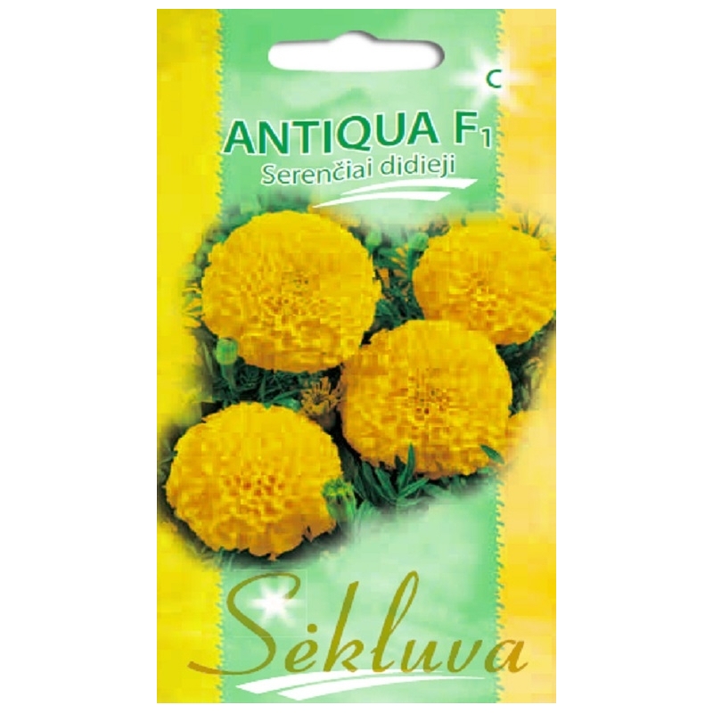 DIDIEJI SERENČIAI ANTIQUA F1 (GELTONI) 15s. DIDIEJI SERENČIAI ANTIQUA F1 (GELTONI) 15s.