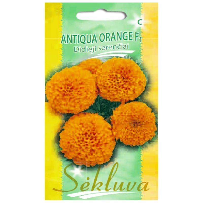 DIDIEJI SERENČIAI ANTIQUA F1 (ORANŽINIAI) 15s. DIDIEJI SERENČIAI ANTIQUA F1 (ORANŽINIAI) 15s.