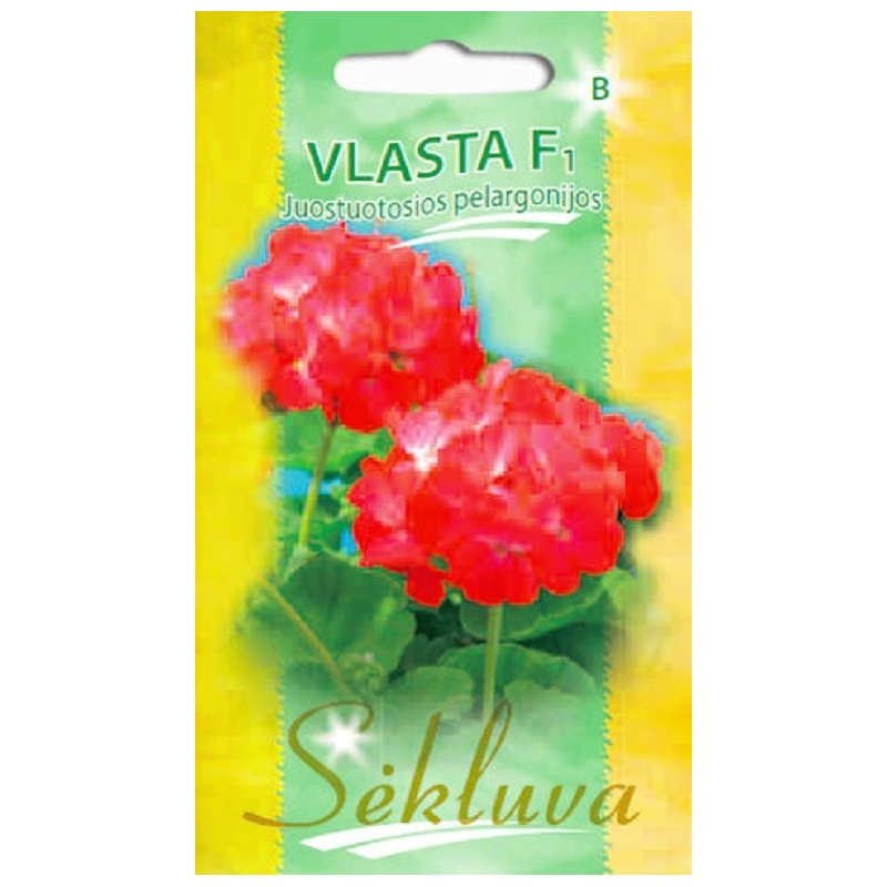 JUOSTUOTOSIOS PELARGONIJOS VLASTA F1 5 sėklos JUOSTUOTOSIOS PELARGONIJOS VLASTA F1 5 sėklos