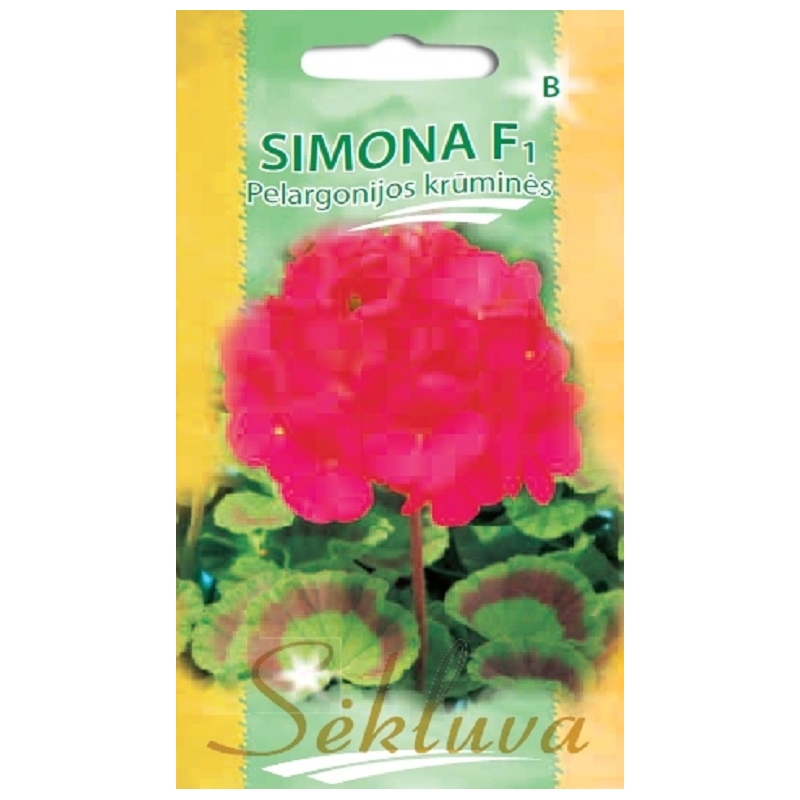JUOSTUOTOSIOS (KRŪMINĖS) PELARGONIJOS SIMONA F1 5 sėklos JUOSTUOTOSIOS (KRŪMINĖS) PELARGONIJOS SIMONA F1 5 sėklos