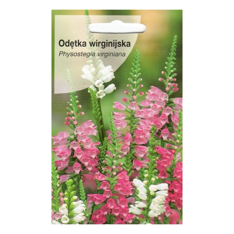 Virgininis pūstatauris (mišinys) 0,1gr Virgininis pūstatauris (mišinys) 0,1gr