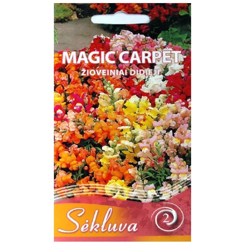 DIDIEJI ŽIOVEINIAI MAGIC CARPET 0,3 gr. DIDIEJI ŽIOVEINIAI MAGIC CARPET 0,3 gr.