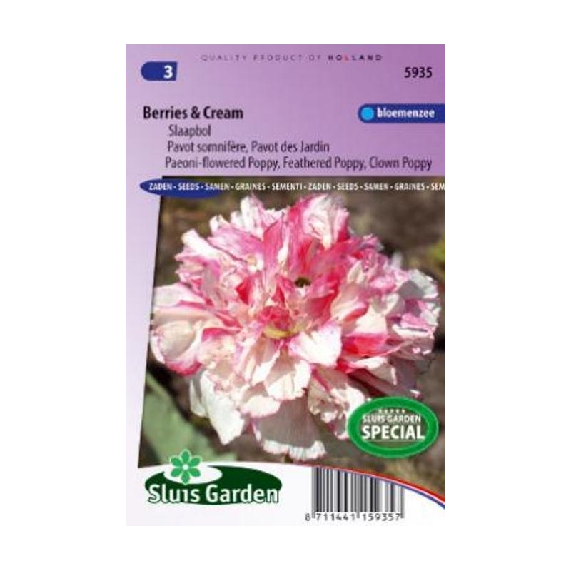 Daržinė aguona Berries Cream 500s Daržinė aguona Berries Cream 500s