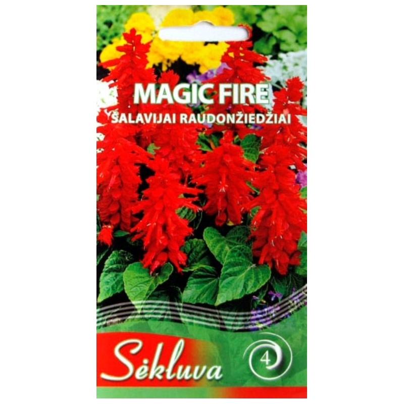 RAUDONŽIEDŽIAI ŠALAVIJAI MAGIC FIRE 0,3gr RAUDONŽIEDŽIAI ŠALAVIJAI MAGIC FIRE 0,3gr