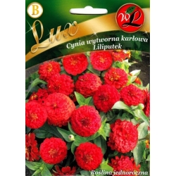 PUIKIOSIOS GVAIZDŪNĖS ŽEMAŪGĖS 0.5gr