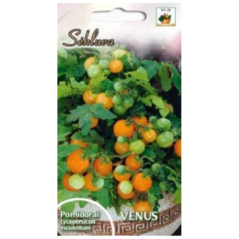 Valgomieji pomidorai Venus (balkoniniai oranžiniai) 0,1g. Valgomieji pomidorai Venus (balkoniniai oranžiniai) 0,1g.