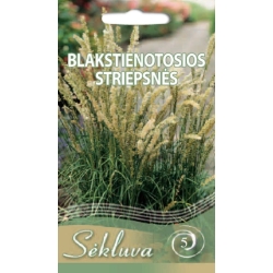 BLAKSTIENOTOSIOS STRIEPSNĖS  0,1gr